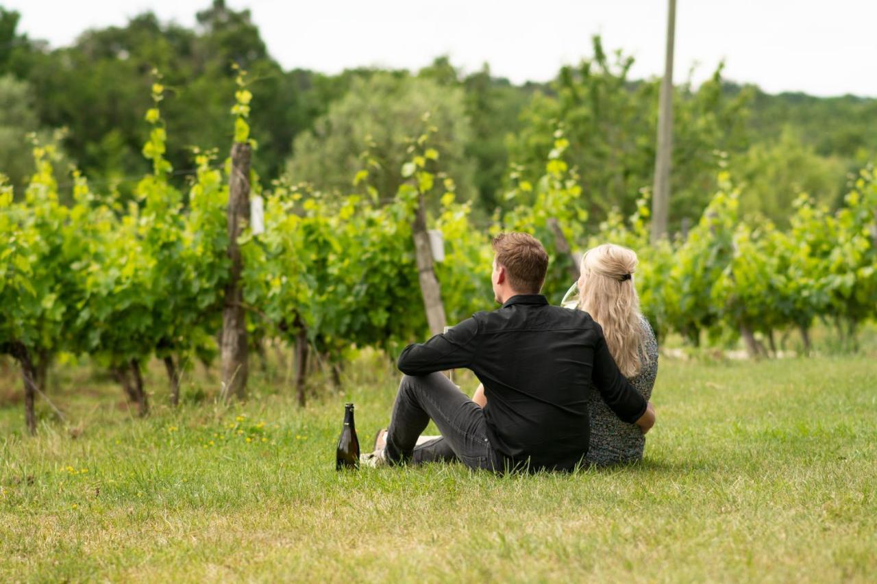 Bed & Breakfast Vandenbeld Wines